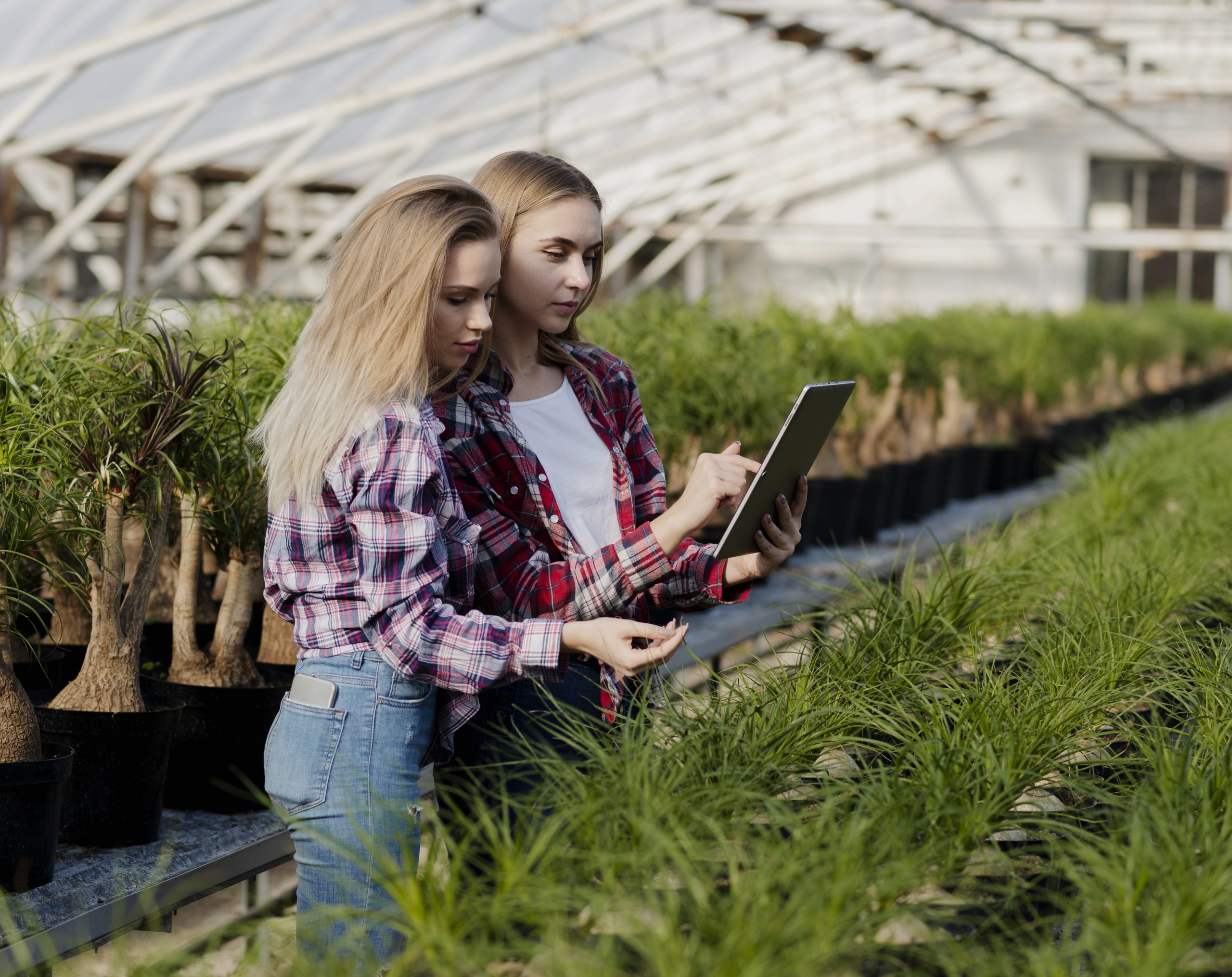 side view greenhouse female workers scaled